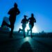 Insights On Duration and Intensity For Extended Lifespan