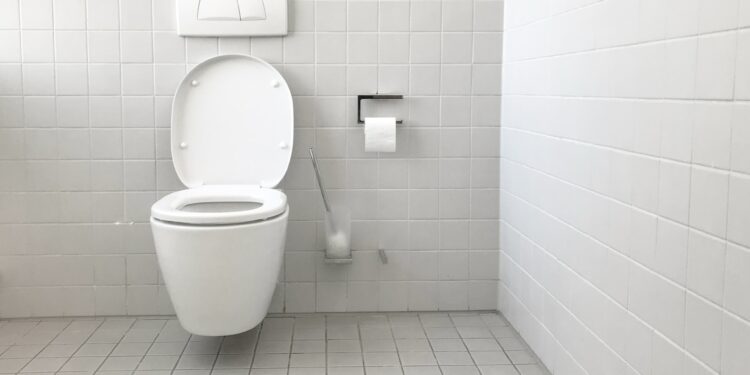 The Surprising Reality Behind How Often You Should Poop