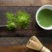 What Is The Main Antioxidant Found In Green Tea Known For Its Potential Health Benefits?