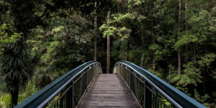 Unveiling Nature’s Influence On Productivity In Design