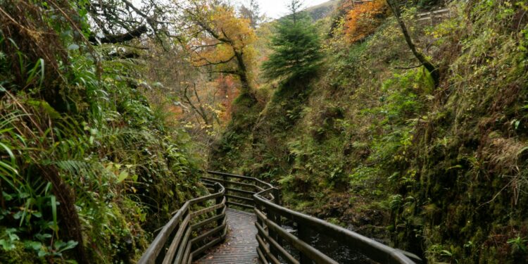 How Many Taste Buds Does The Average Human Tongue Have?