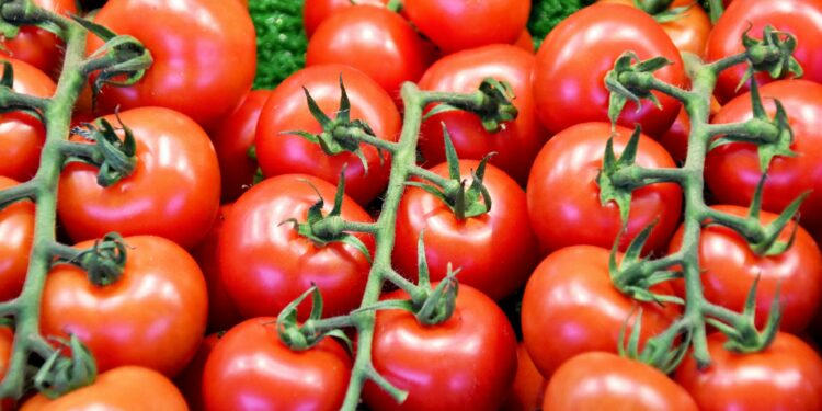 Manage High Blood Pressure With Tomatoes