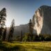Living Close To Nature Could Be the Key To Unbreakable Bones