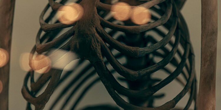 What Is The Term For The Involuntary, Rhythmic Contraction And Relaxation Of Muscles That Moves Food Through The Digestive Tract?