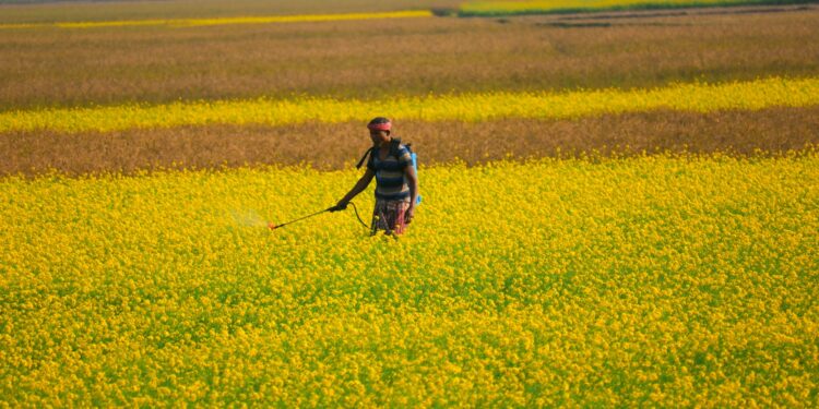 Study Links Pesticides To Escalating Parkinson’s Disease Risk