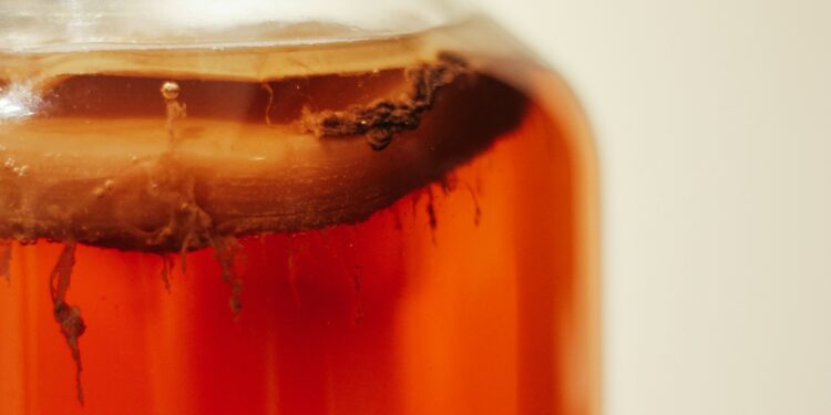 Kombucha’s Fat Burning Powers