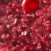 What Nutrient Is Crucial For Hemoglobin Synthesis In Red Blood Cells?