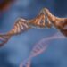 Experts Stunned By Unprecedented Gene Breakthrough