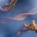 What’s The Name For The Protective Caps On Chromosomes?