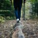 Which Part Of The Brain Is Primarily Responsible For Regulating Balance?