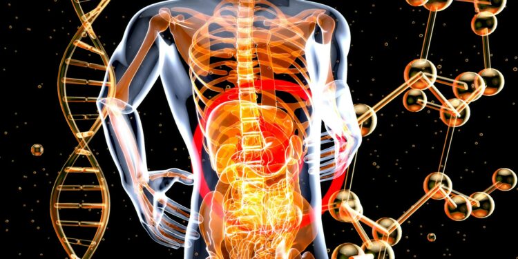 What Is The Main Function Of The Gut Microbiome?