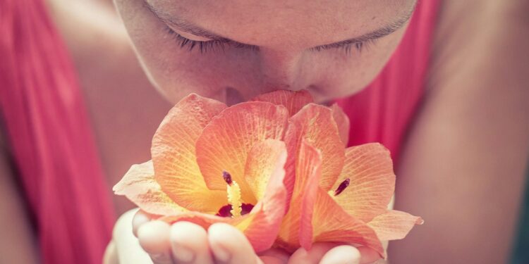 Scientists Link Declining Smell To Heart Failure