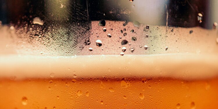 Daily Beer Consumption Linked To 2-Month Life Reduction