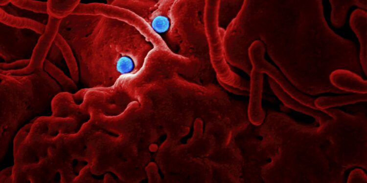 New Medical Weapon Could Defeat Flesh-Eating Bacteria