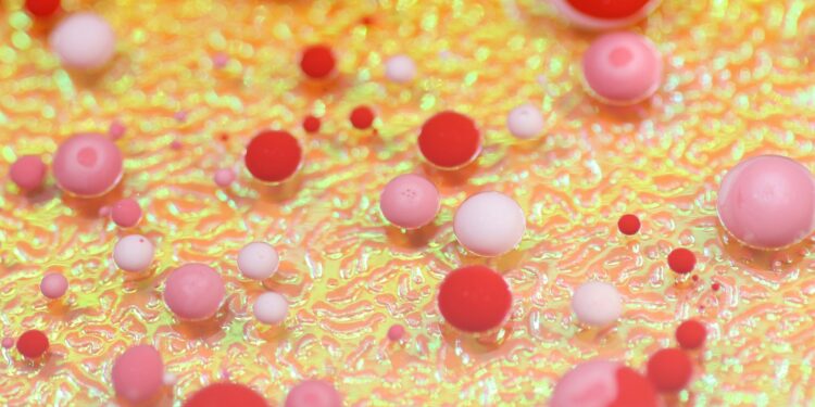 Aging Brain Blood Vessels Revealed As Key To Brain Health