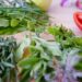 Which Herb Is Commonly Used To Reduce Nausea And Improve Digestion?