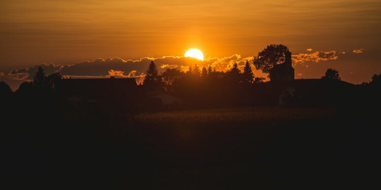 Which Antioxidant Protects The Skin From UV Damage?