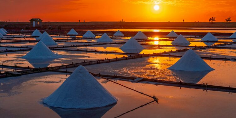 Silent Culprit To Multiple Sclerosis