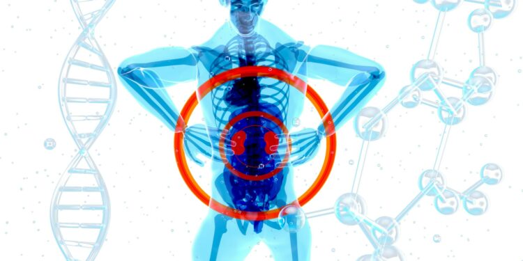 What Is Aldosterone’s Primary Function?