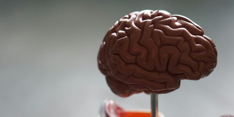 Which Condition Is Caused By Excess Growth Hormone In Adults?