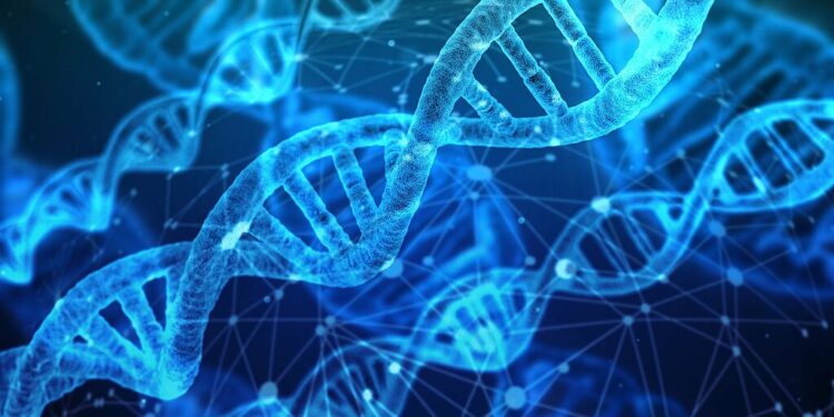 What Is The Primary Structural Difference Between RNA And DNA?