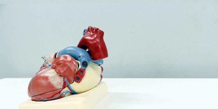Two Issues That Skyrocket Heart Disease Risk