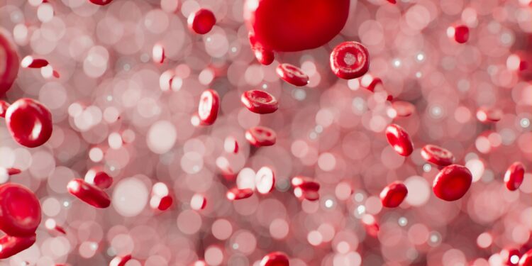 What Do Endothelial Cells In Blood Vessels Do?