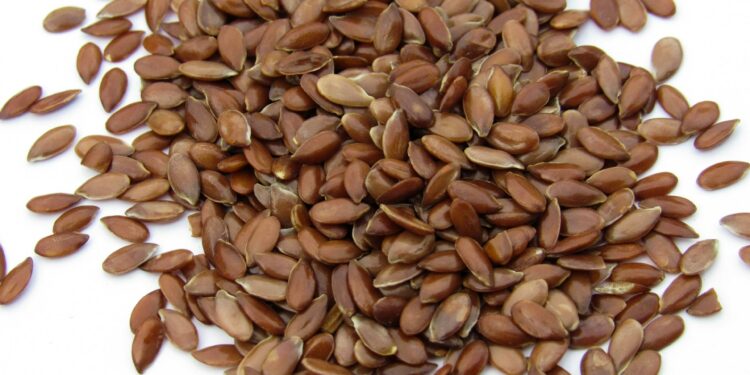 Which Essential Fatty Acid In Flaxseeds Supports Brain Health?
