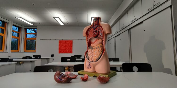 What Fat Protects Organs And Provides Insulation?