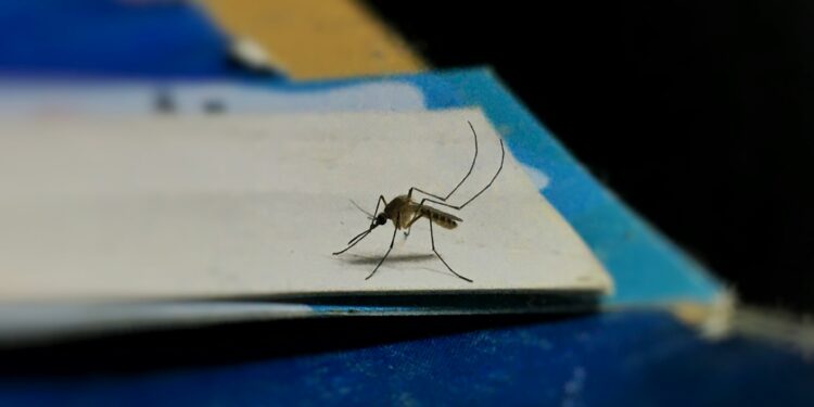 Life-Saving Drug Losing Power To Protect Children