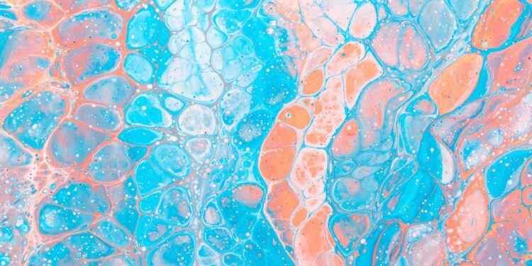 Which Cell Type In The Skin Acts As A Sensory Receptor For Touch?