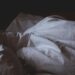 Irregular Sleep May Impact Heart Health