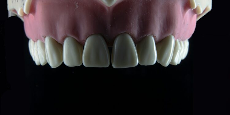 Scientists Pinpoint Genes That Determine Tooth Shape