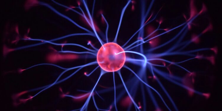 Which Brain Region Shrinks With Age But Grows With Regular Exercise?