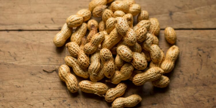 The Key To Beating Mild Peanut Allergies