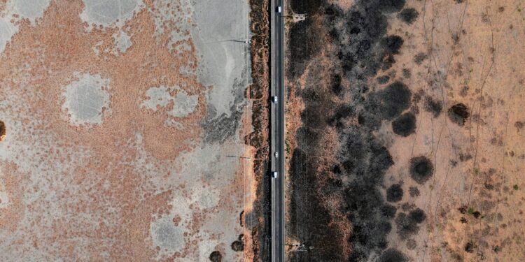 The Household Threat Causing Brain Fog And Allergies