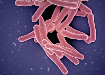 Deadly Infection Resurges Across The U.S.