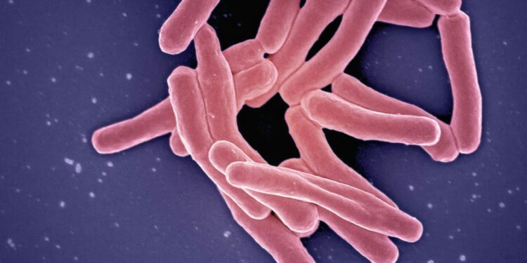 Deadly Infection Resurges Across The U.S.