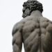 What Protein Helps Muscles Contract And Is Vital For Exercise?