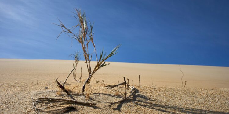 What’s The Condition Of Abnormally High Body Temperature?