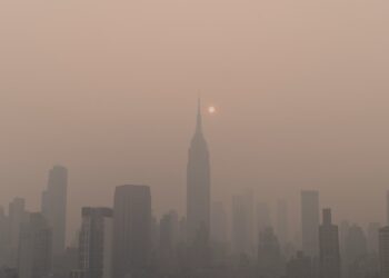 Air Quality Crisis Tied To Surging Childhood Asthma