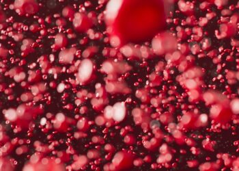 Which Organ Removes Old Red Blood Cells From Circulation?