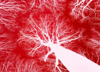 What Condition Limits Blood Flow To The Heart?