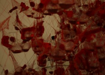 Which Process Clears Blood Waste Through The Kidneys?