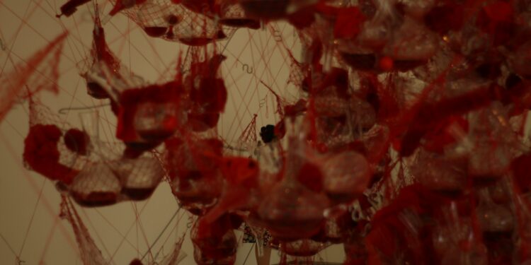 Which Process Clears Blood Waste Through The Kidneys?