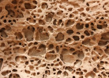 Which Hormone Boosts Calcium Absorption In The Gut?