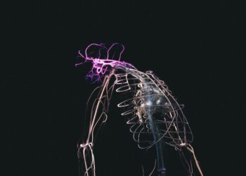 What Does The Parasympathetic Nervous System Trigger?