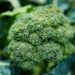 Which Compound In Broccoli Supports Detox Enzymes?
