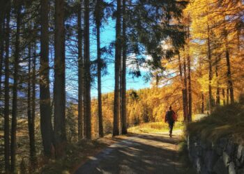 The Benefits Of Walking Where The Sidewalk Ends