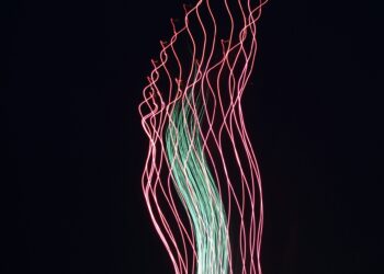 What Fatty Layer Insulates Nerves And Speeds Up Signals?